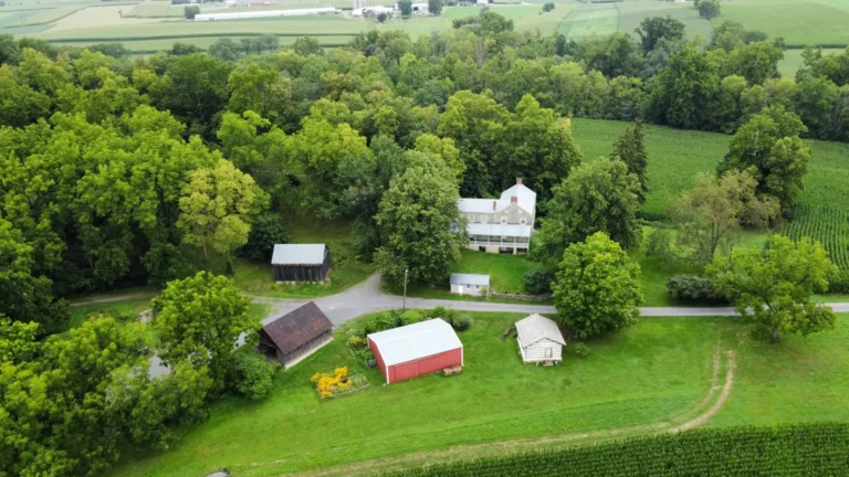 An aerial view of Dales Ridge Trail, showing a farm with red-roofed buildings surrounded by green trees and fields under a clear sky.