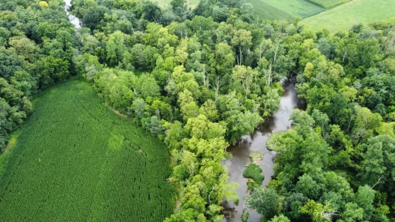 An aerial view shows a winding creek through a dense forest, with a field of green crops on the left and hills in the background under a bright sky.