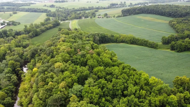 A winding creek flows through a dense treeline, bordering a vast expanse of green fields under a clear sky.