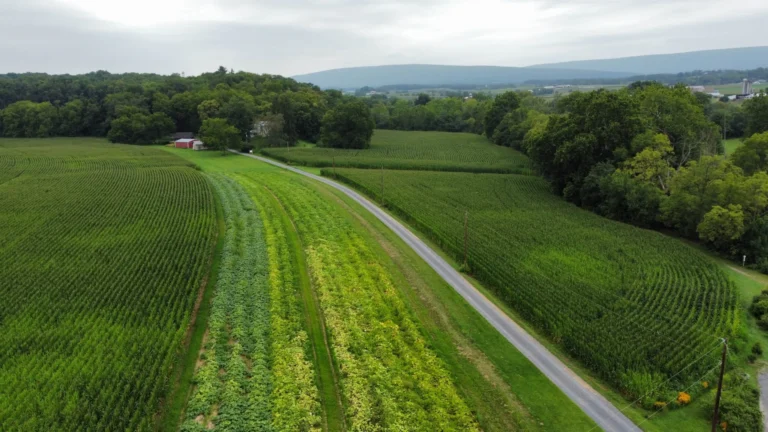 An aerial view shows a long, unpaved road extending through green fields and rows of crops. A red-roofed building is visible among trees in the middle ground, with a forested area and distant hills under a partly cloudy sky.