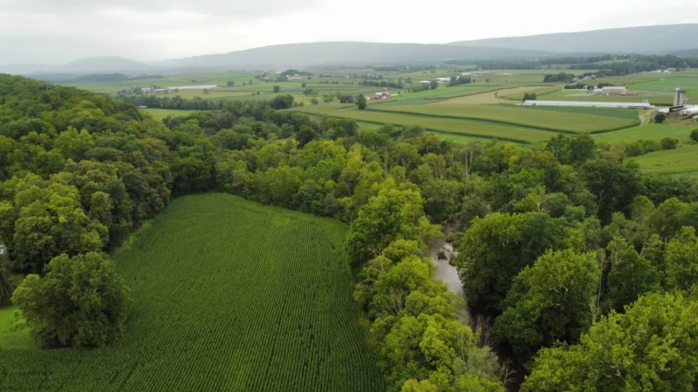 An aerial view reveals an unpaved road traversing green fields and rows of crops. A red-roofed building is situated among trees in the middle ground, with a forest and distant hills under a partly cloudy sky.