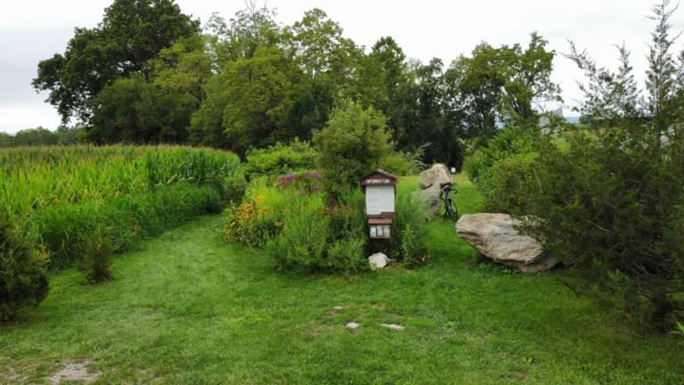 A small, unpaved path with a sign on the left winds through a grassy area, flanked by trees and a large boulder. In the background, rolling hills covered with trees rise under a bright sky.