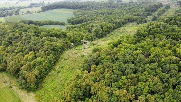 An aerial view of Dales Ridge Trail shows a valley of dense green trees with a clearing where power lines run through the center. A field of crops is visible in the upper left, and hazy hills are in the distance under a clear sky.